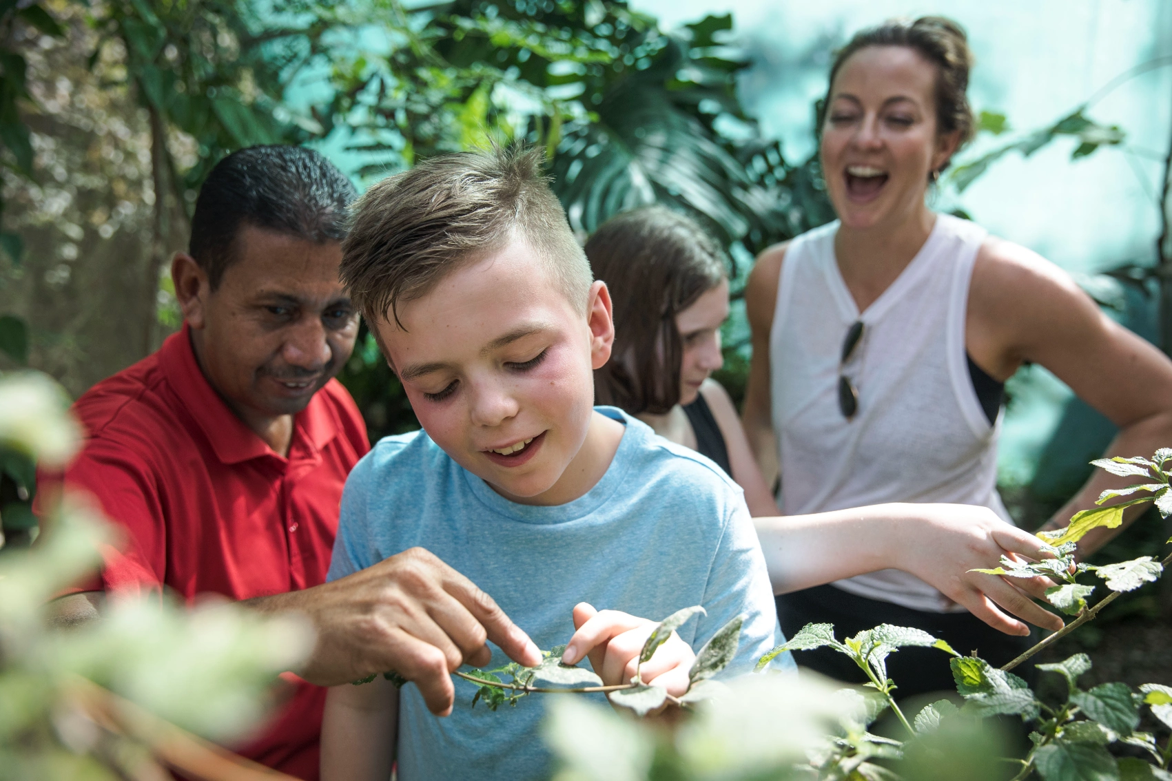 A boy looks at a butterfly in the jungle with a guide and his mother