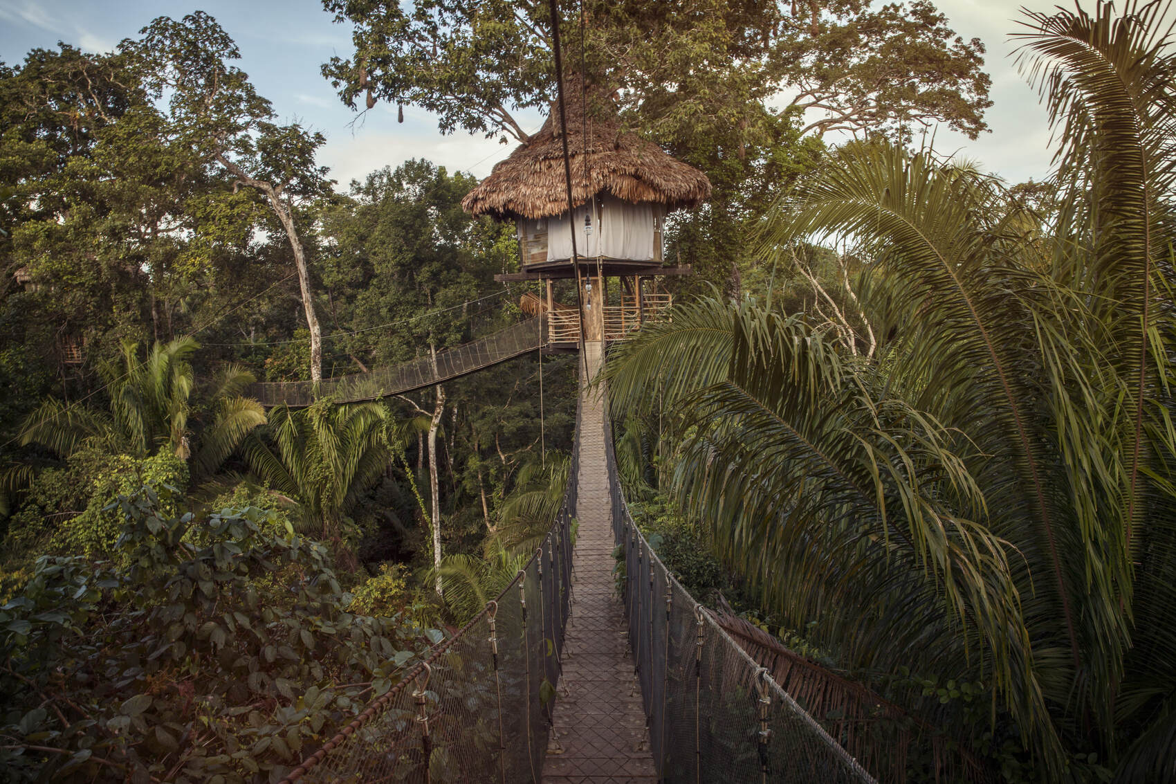 A swinging bridge and a cabin in the Ecuadorian Amazon