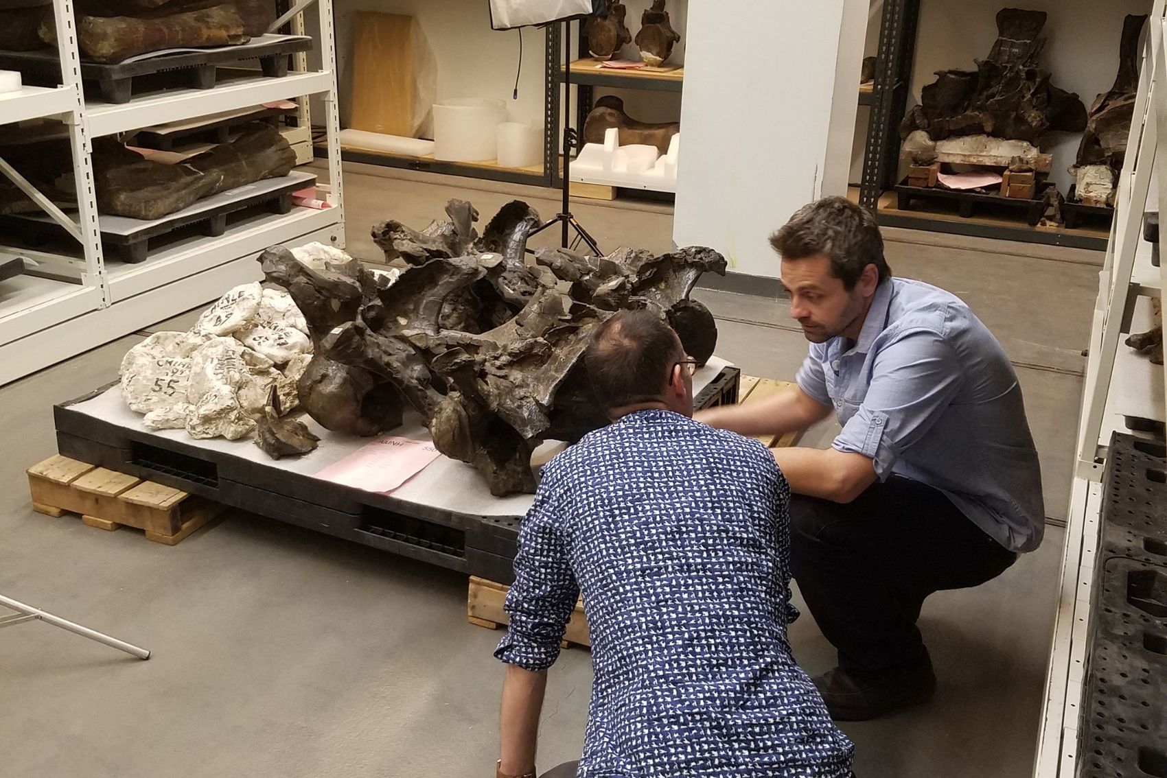Diego Pol and a colleague looking at a fossil and chatting