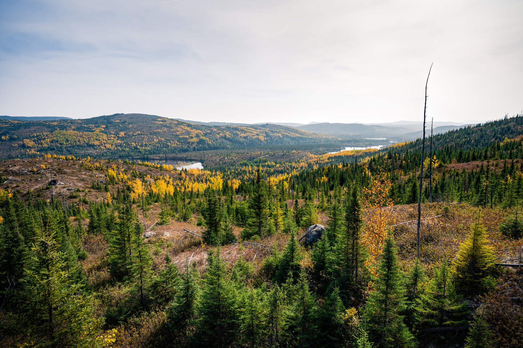 The beautiful scenery of Parc National des Grands-Jardins in Québec, Canada — David Boutin Photography