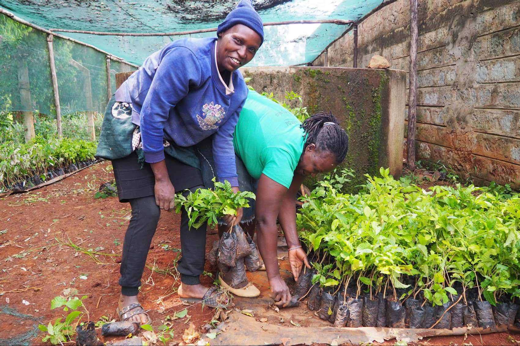 Ladies from the Trees for Kenya project in Kenya