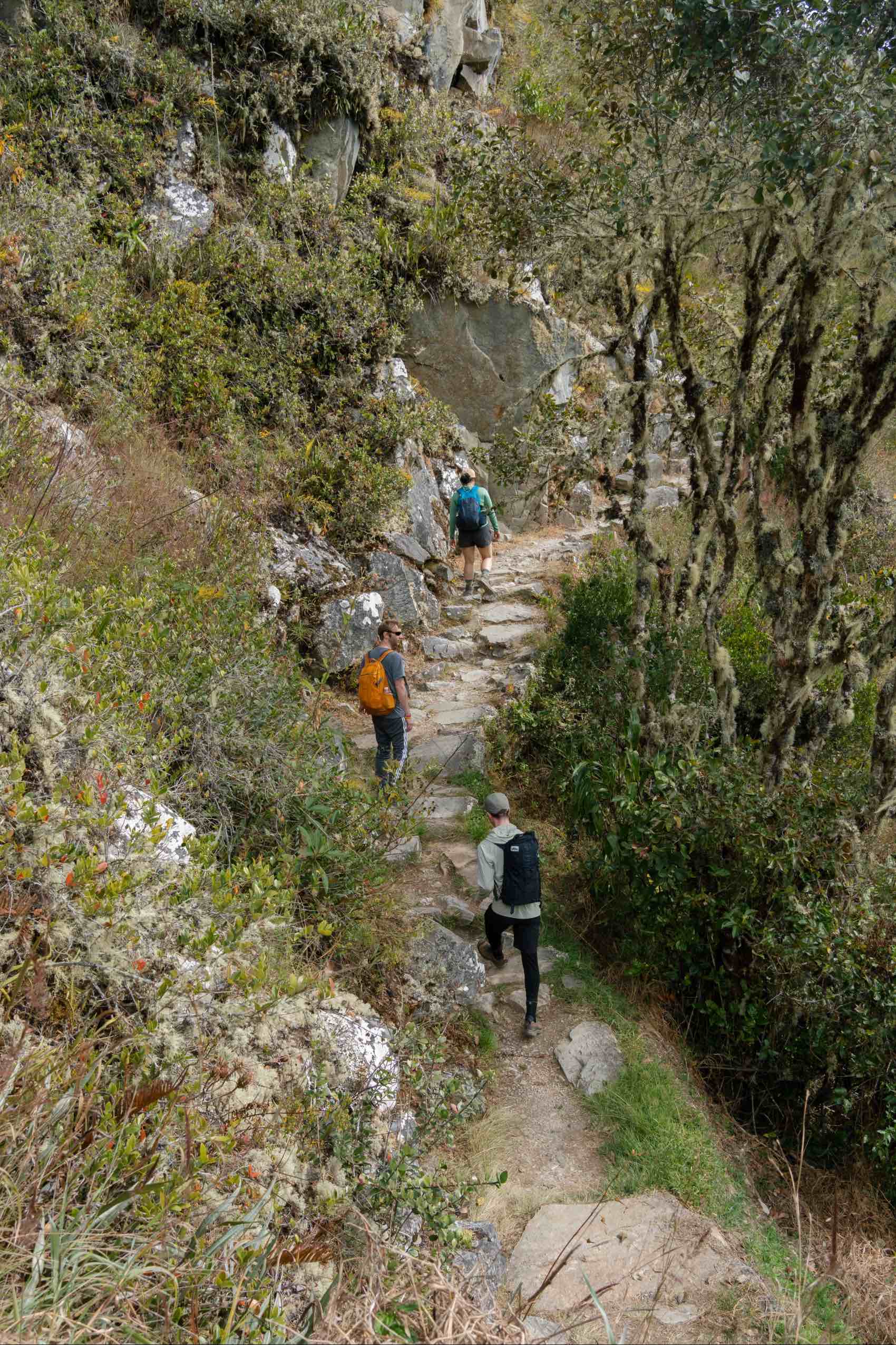 A group of travellers walking on the famous Inca Trail in Peru