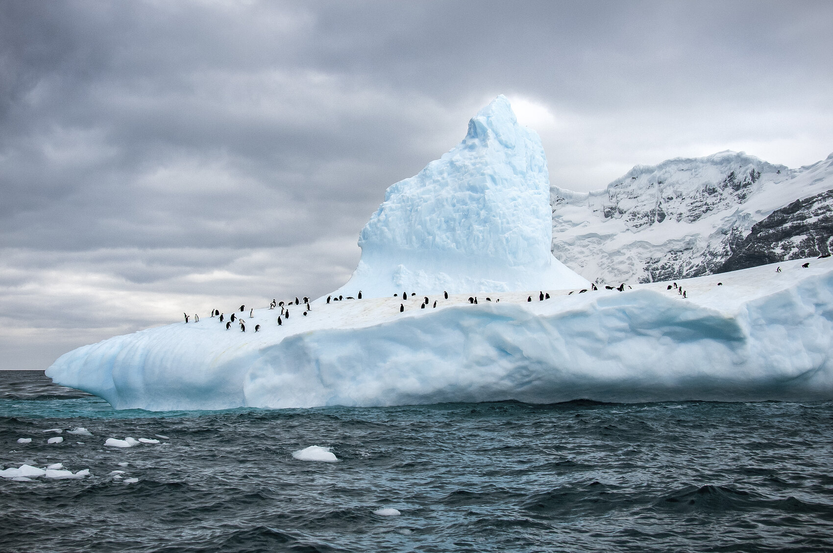 Penguins standing atop an iceberg in Antarctica