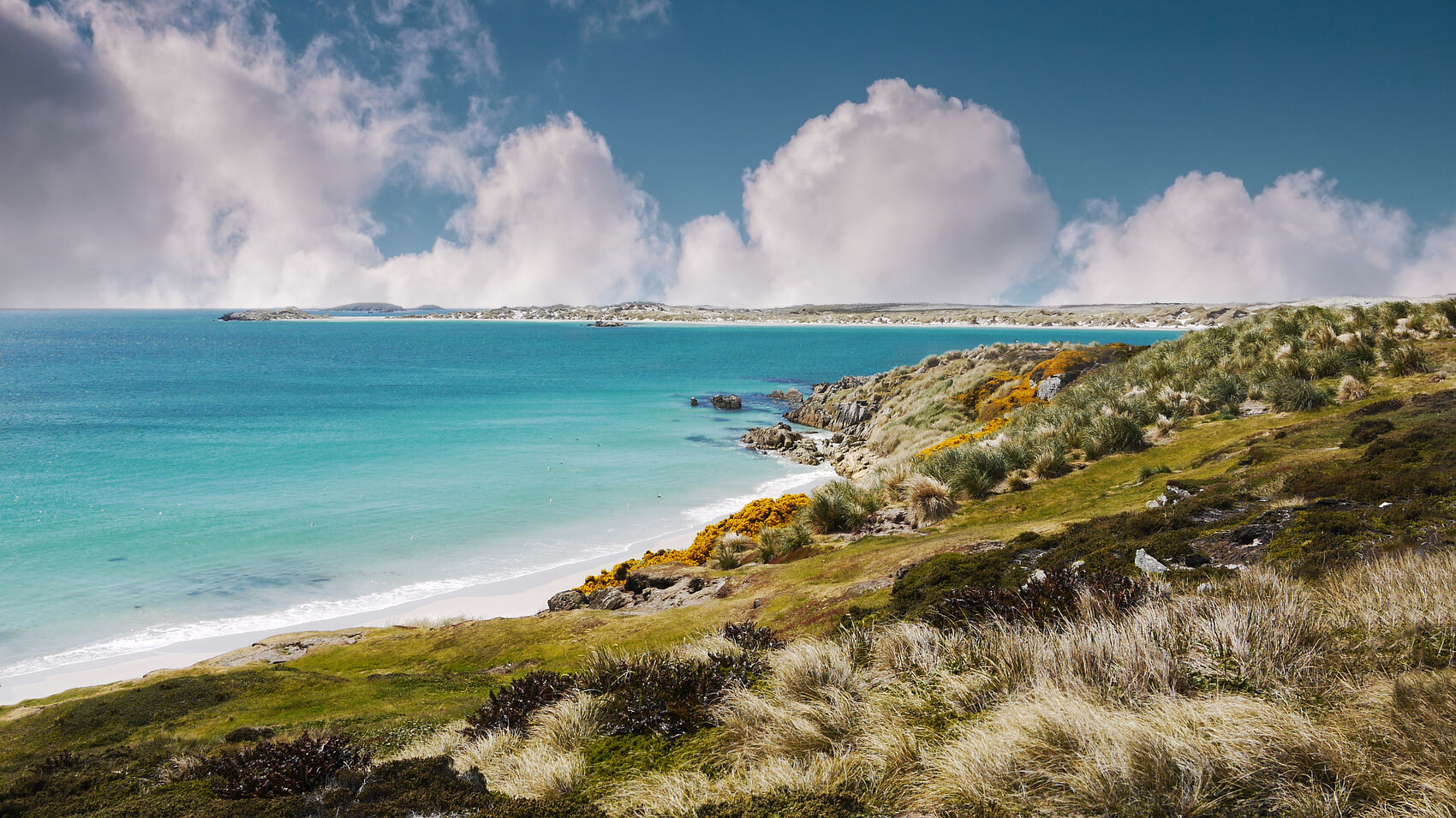 The beautiful scenery of the Falkland Islands off South America