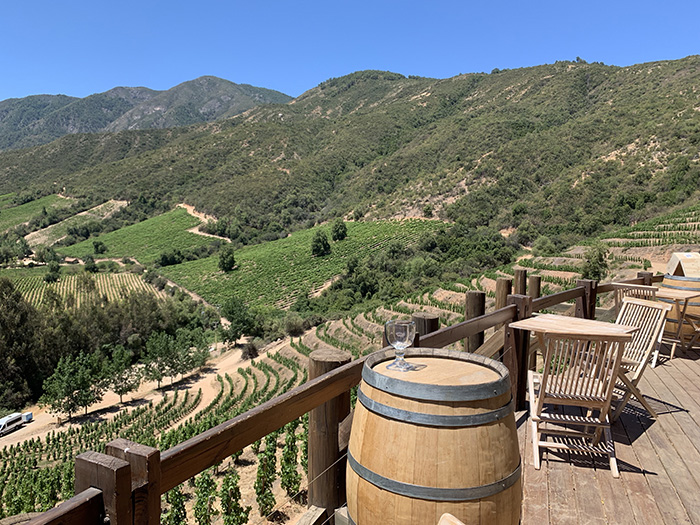 The payoff after a bike ride up a terraced vineyard in Colchagua Valley