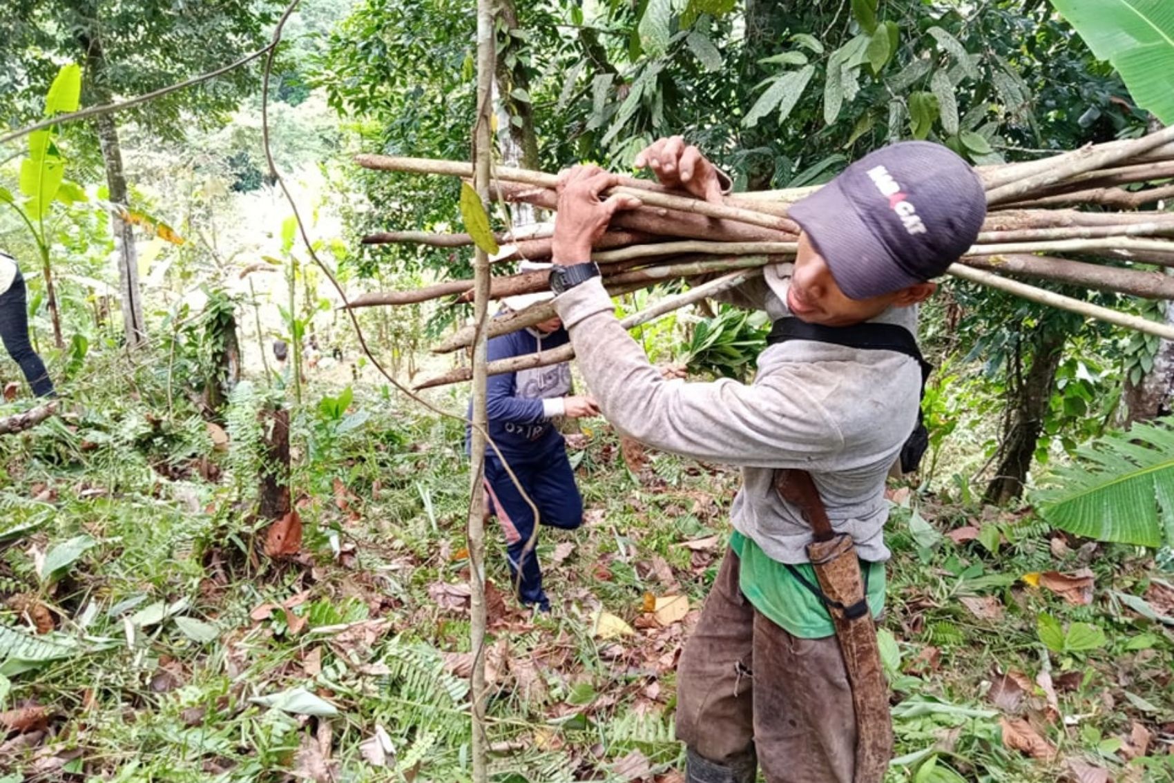 A member of the local Tribes and Nature Defenders carrying sticks in the Philippines