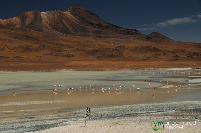 Lake Charcota, where flamingos play in a mineral-laden lake. Notice the danger sign.