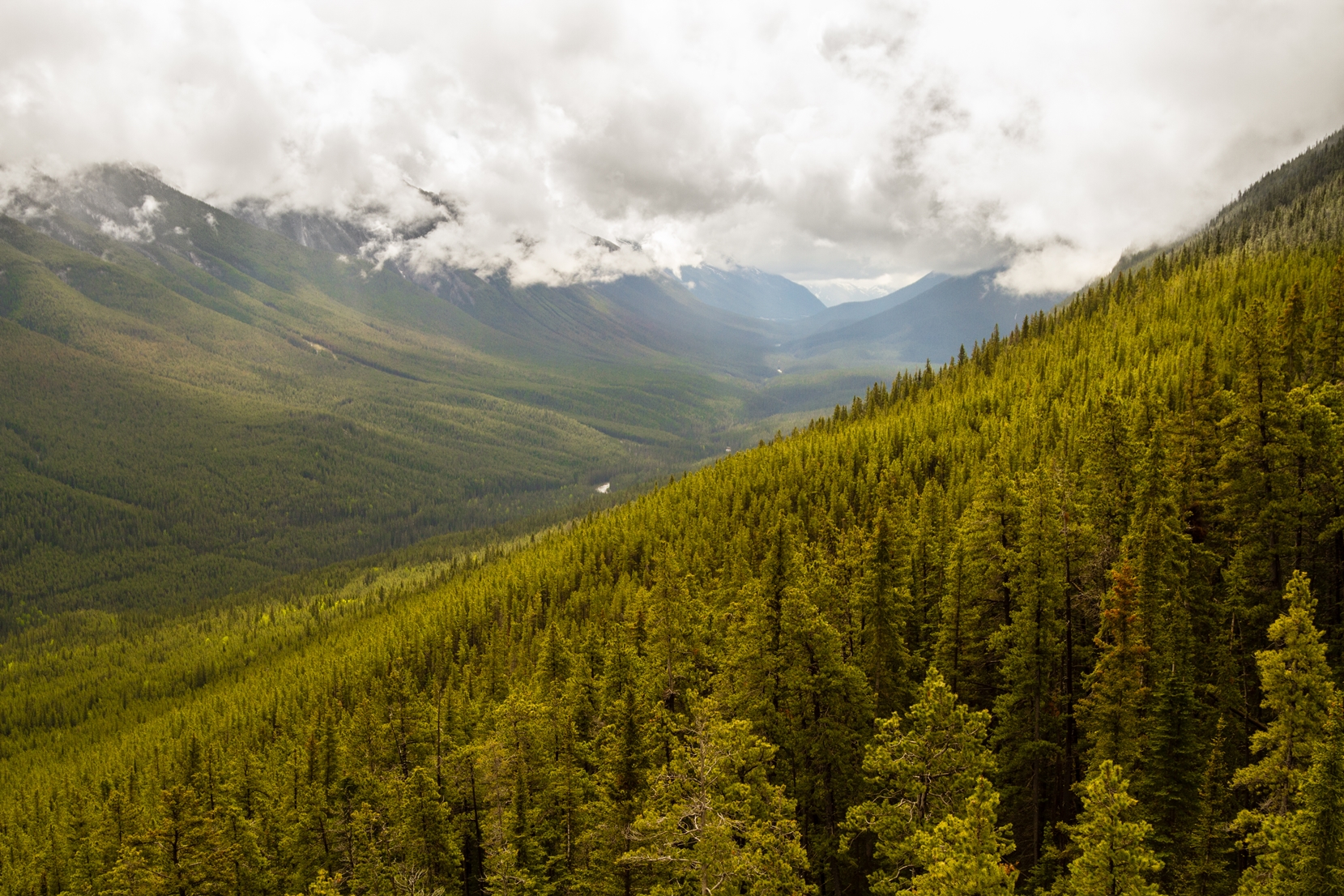 View over the glacier-carved valleys of Banff National Park.