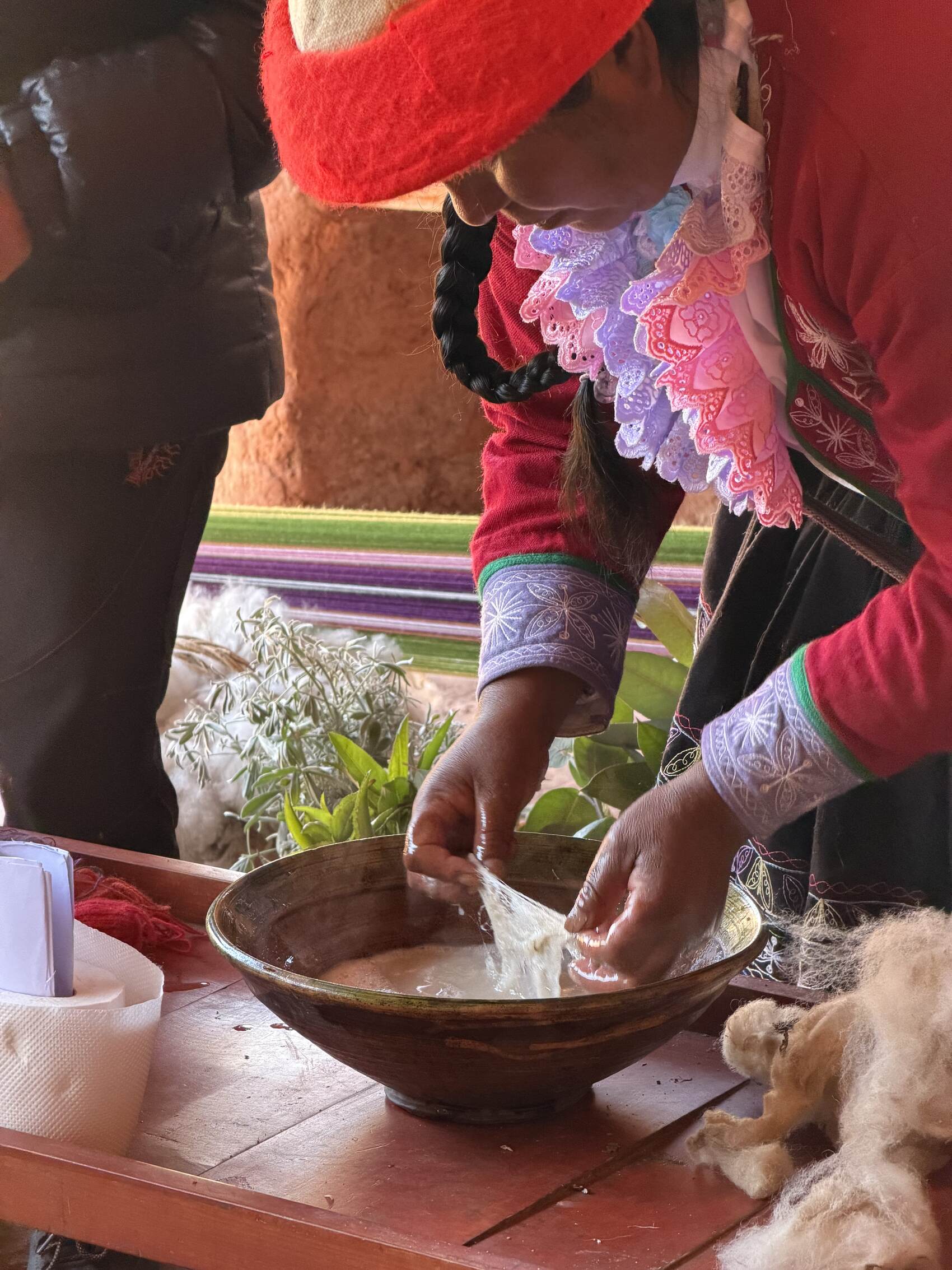 A local woman from the Indigenous Quechua community cleaning alpaca wool