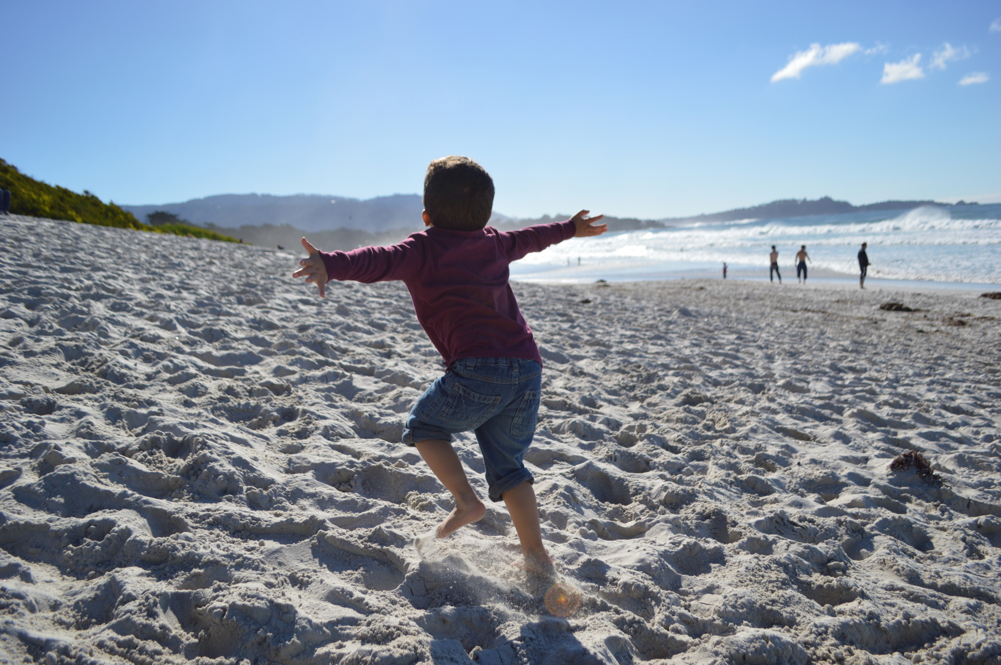 The largest expense of family travel is airfare and accommodation