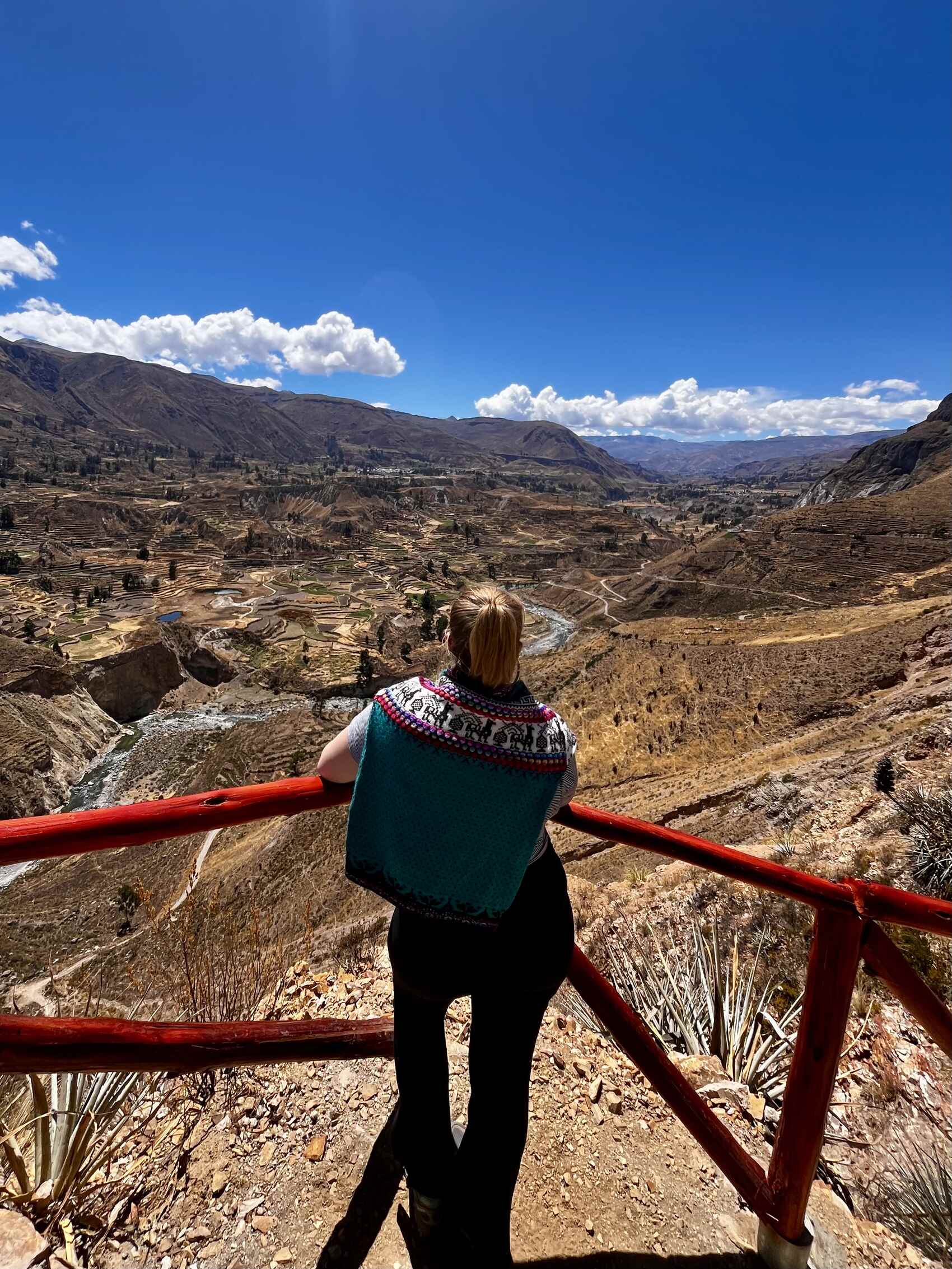 Katy Rix looking out over Colca Canyon in Peru
