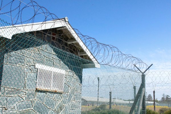 Get a history lesson with a trip to Robben Island.