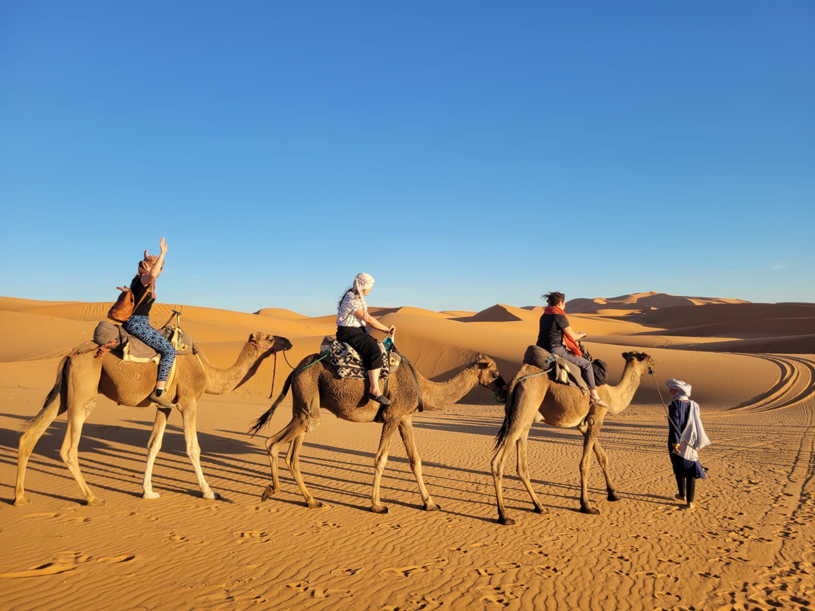 Travellers on camels in the Moroccan desert