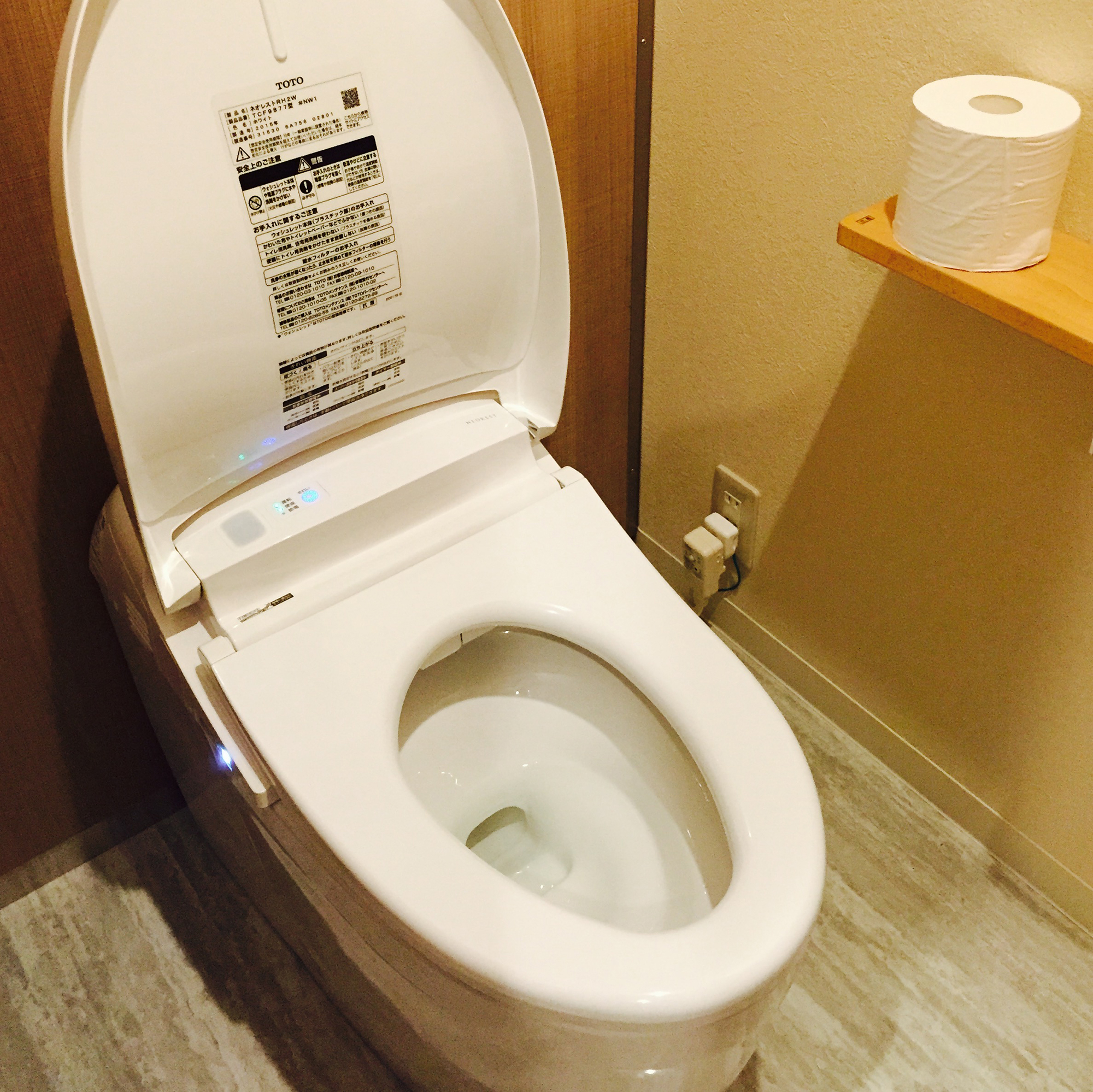 The famous Japanese toilet.