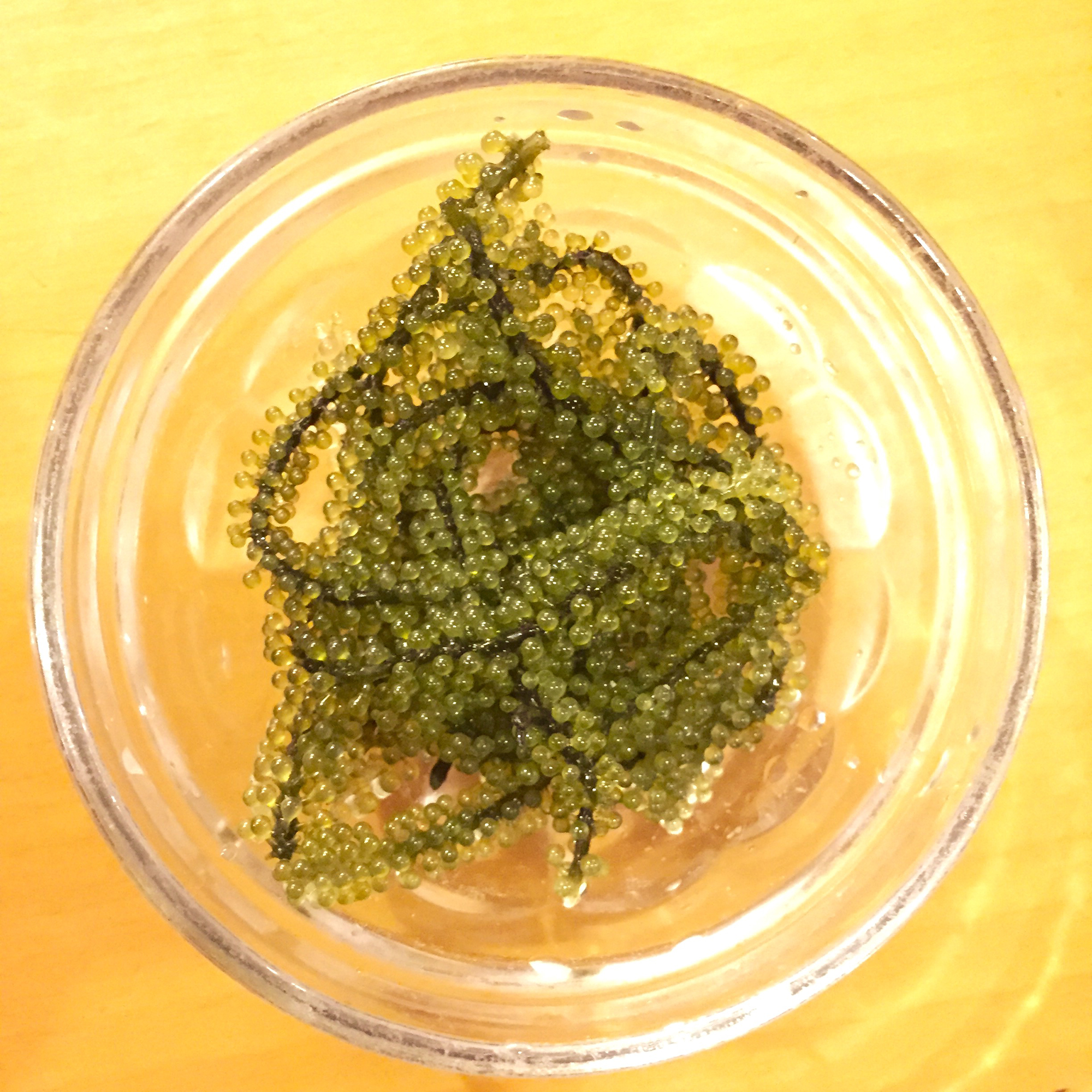 Umi-budō or sea grapes.