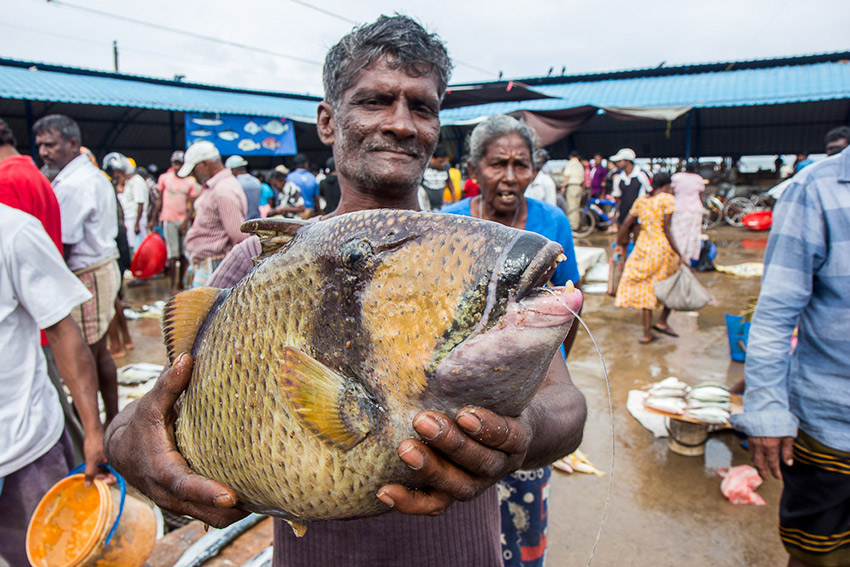 Raja’s friendliness and expert tour through the markets makes me smile.