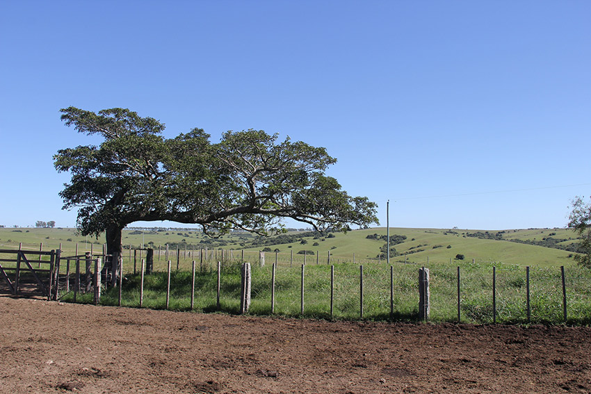 Leave the bright lights of the big city behind for an estancia. Photo courtesy UGA College.