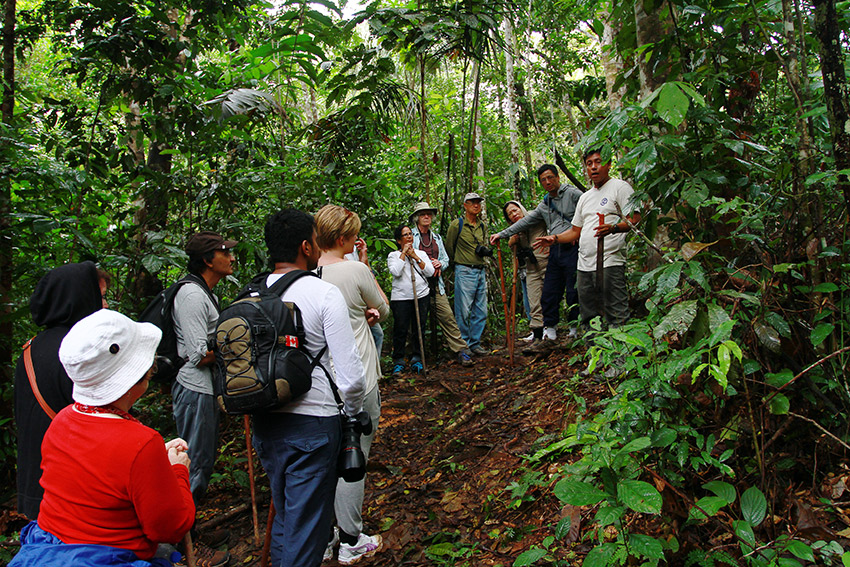 The flora and fauna are also unlike any found on cruises worldwide.