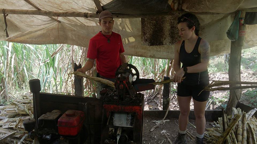 Making sugar cane candy in San Isidro