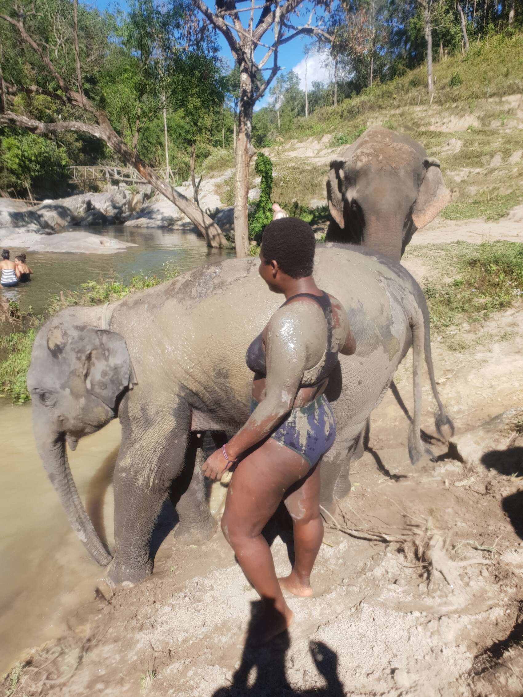 Ivy bathing an Asiatic elephant in Southeast Asia